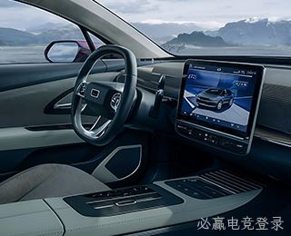 汽车电子